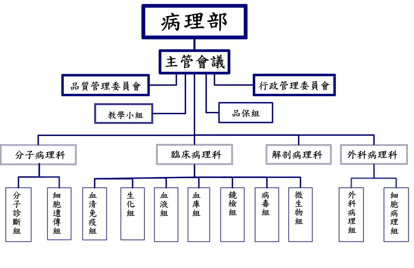 組織架構